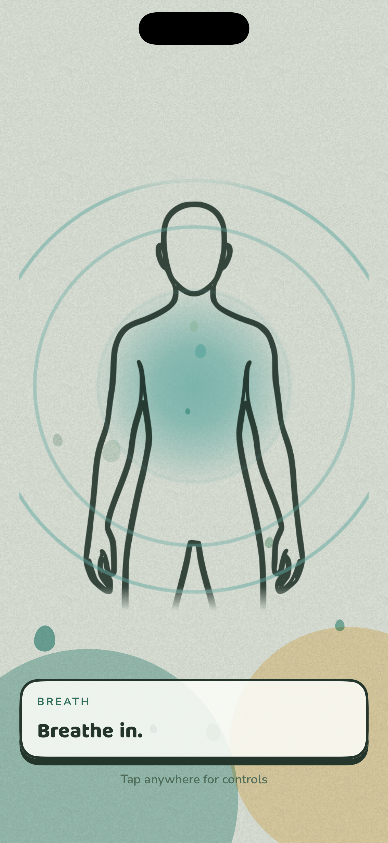 The Lullfabric Relax breathing screen: a body outline with a teal glow at the chest, rings of air drawing inward, and the prompt Breathe in